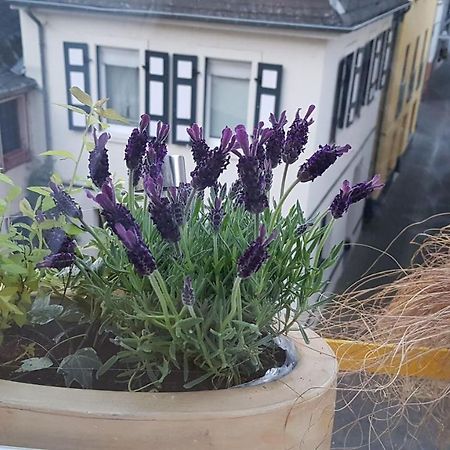 Haus Alfina别墅 外观 照片