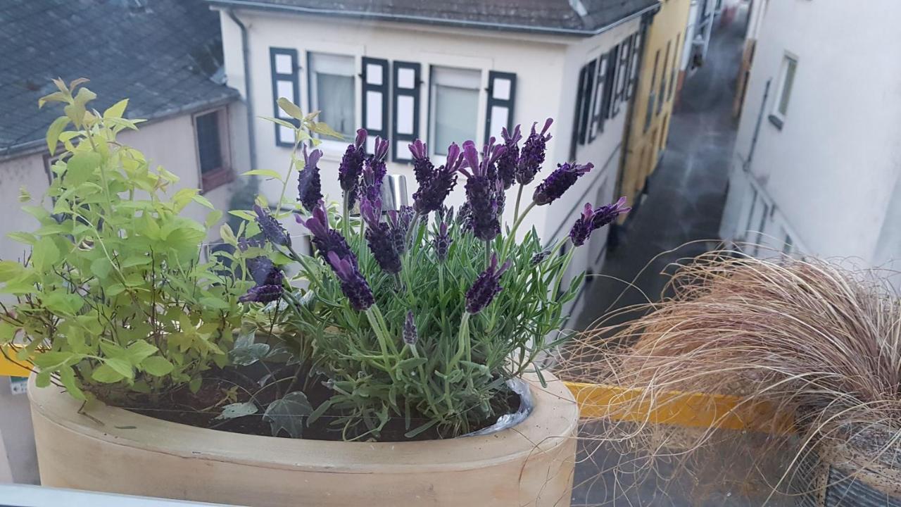 Haus Alfina别墅 外观 照片